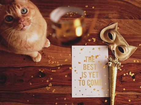 gato-navidad-bodas-de-cuento www.bodasdecuento.com