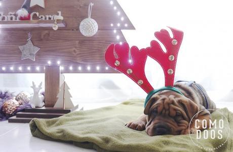 Feliz año nuevo Sharpei