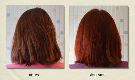 Un color intenso y vivo con “PALETTE Intensive Creme Coloration – Castaños Deslumbrantes” de SCHWARZKOPF