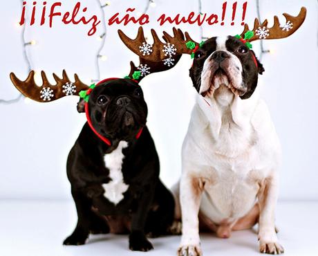 ASÍ HA SIDO EL 2015!! (resumen de las mejores 12 fotos) y una reflexión muy especial