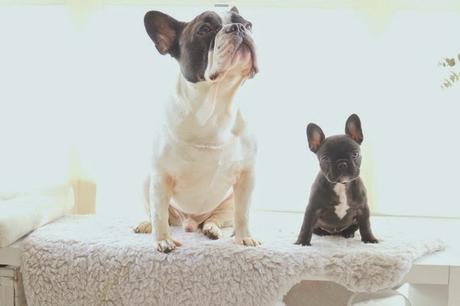 ASÍ HA SIDO EL 2015!! (resumen de las mejores 12 fotos) y una reflexión muy especial