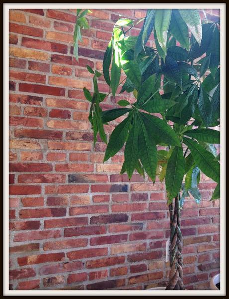 Un repaso a 2015 y bienvenido 2016