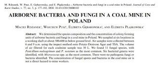 Bacterias y hongos en minas de Polonia