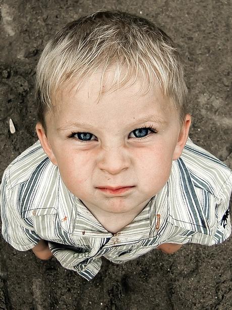 Hoy Brindo Por La Alegría De Lo Incómodo