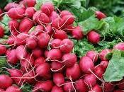 Interpretaciones soñar rábanos.