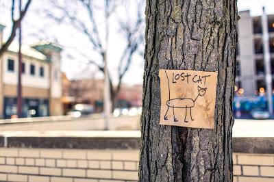 La revolución de los valores