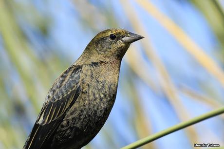 Imágenes destacadas de 2015