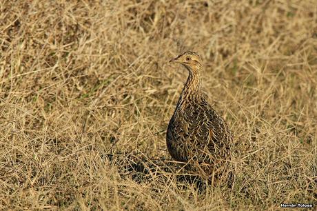 Imágenes destacadas de 2015