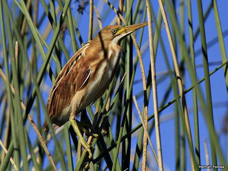 Imágenes destacadas de 2015