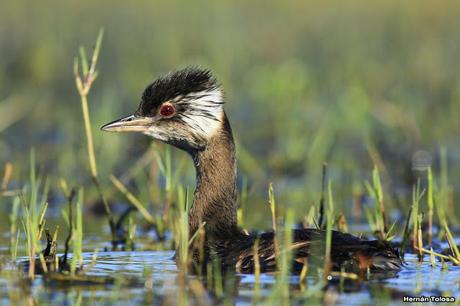 Imágenes destacadas de 2015