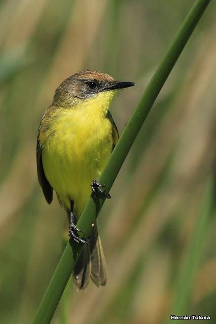 Imágenes destacadas de 2015