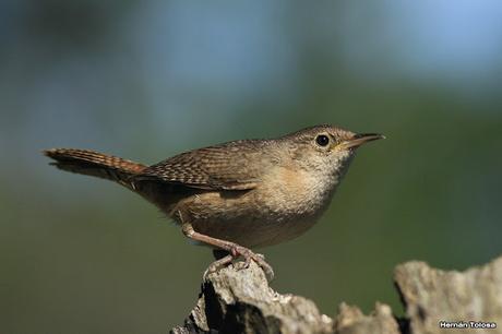 Imágenes destacadas de 2015