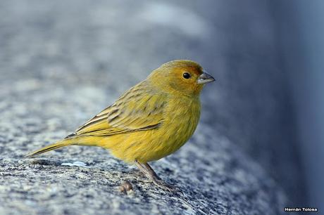 Imágenes destacadas de 2015