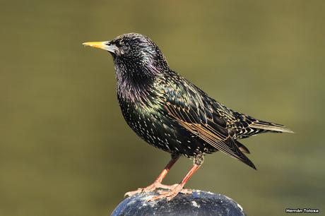 Imágenes destacadas de 2015