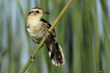 Imágenes destacadas de 2015