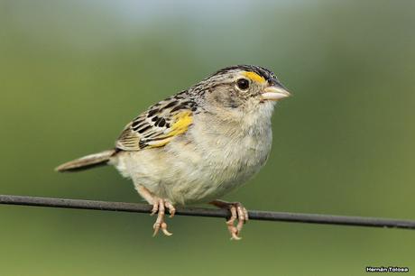 Imágenes destacadas de 2015