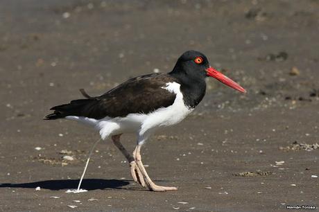 Imágenes destacadas de 2015