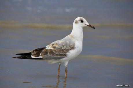 Imágenes destacadas de 2015