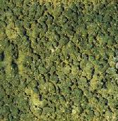 Metalurgia y cerámica argáricas.