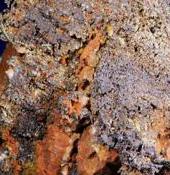 Metalurgia y cerámica argáricas.