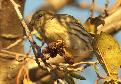 REYES Y OBJETIVO PARA EL NUEVO AÑO