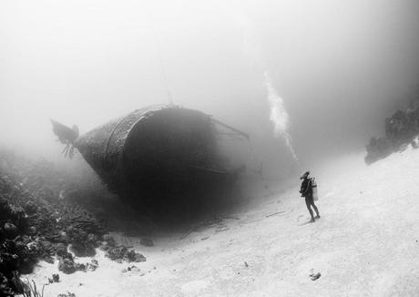 2015: Las Mejores 20 Fotografías del National Geographic