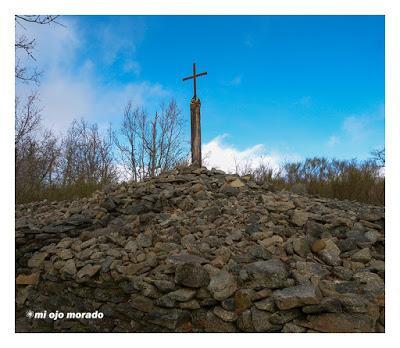 Camino de las raíces. Arte en la naturaleza