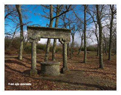 Camino de las raíces. Arte en la naturaleza