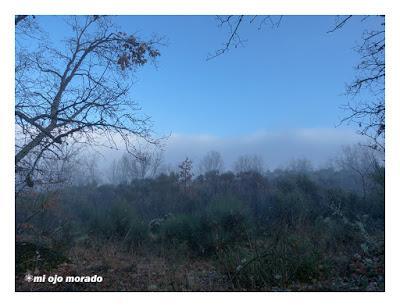 Camino de las raíces. Arte en la naturaleza