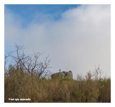 Camino de las raíces. Arte en la naturaleza