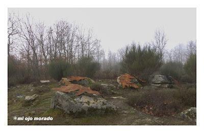 Camino de las raíces. Arte en la naturaleza
