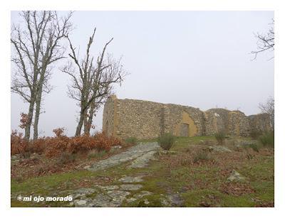 Camino de las raíces. Arte en la naturaleza