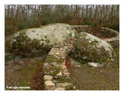 Camino de las raíces. Arte en la naturaleza