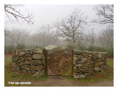 Camino de las raíces. Arte en la naturaleza