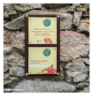 Camino de las raíces. Arte en la naturaleza