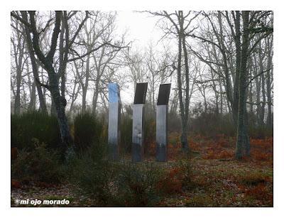 Camino de las raíces. Arte en la naturaleza