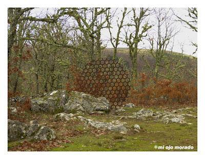 Camino de las raíces. Arte en la naturaleza