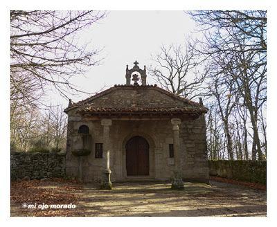 Camino de las raíces. Arte en la naturaleza