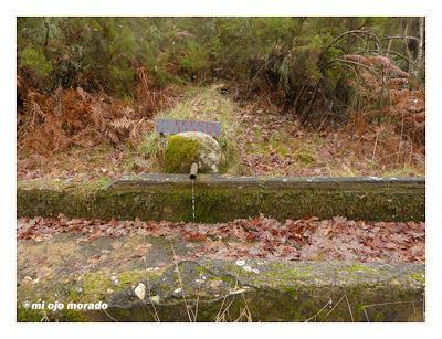 Camino de las raíces. Arte en la naturaleza