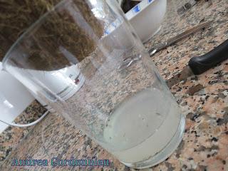 LECHE DE COCO NATURAL, PARA COCINAR. RECETA VEGANA SIN GLUTEN.