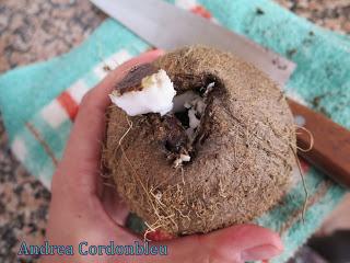 LECHE DE COCO NATURAL, PARA COCINAR. RECETA VEGANA SIN GLUTEN.