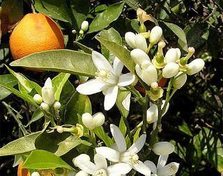 La broma dura demasiado