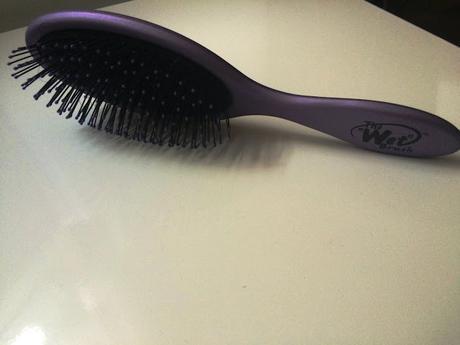 The Wet Brush The Wet Brush