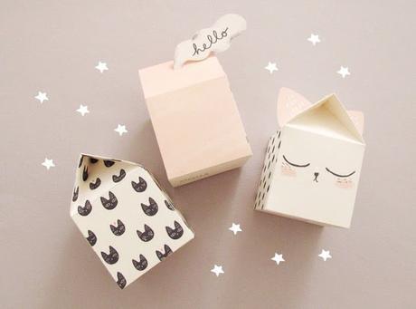 Ideas Packaging Craft