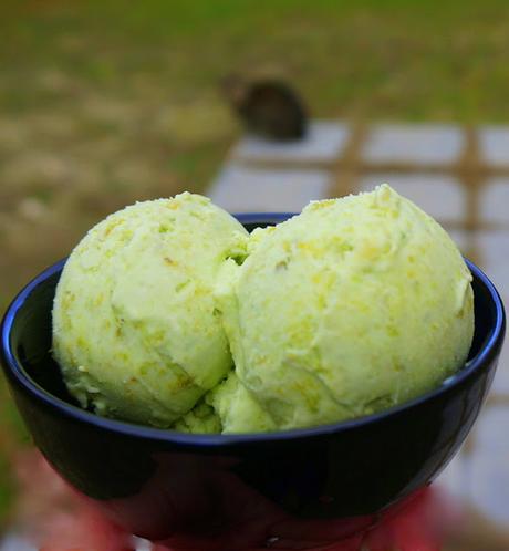 Helado de pistacho cremoso (sin huevo)