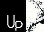 Wrap-Up Agosto Diciembre