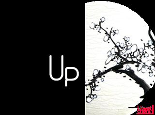 Wrap-Up Agosto a Diciembre