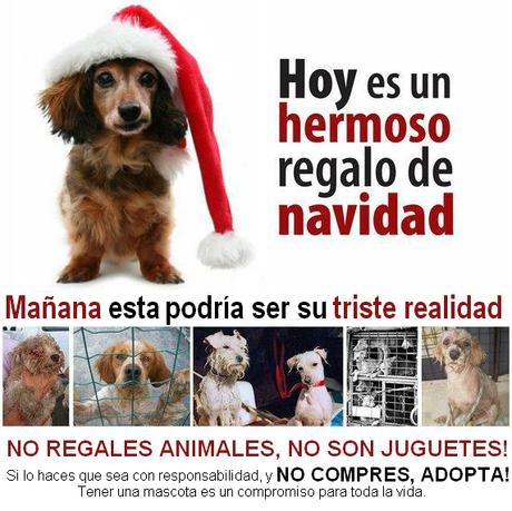 no regales animales