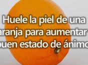 ¿Quieres Vida Activa Saludable? Aquí Tips/ ¿Conoces Beneficios Tomate Para Salud?