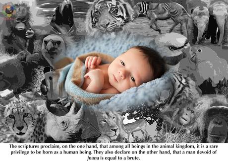 LLUVIAS DE VERANO ILUSTRADO 1990 IMAGENES 5 - RADIO SAI